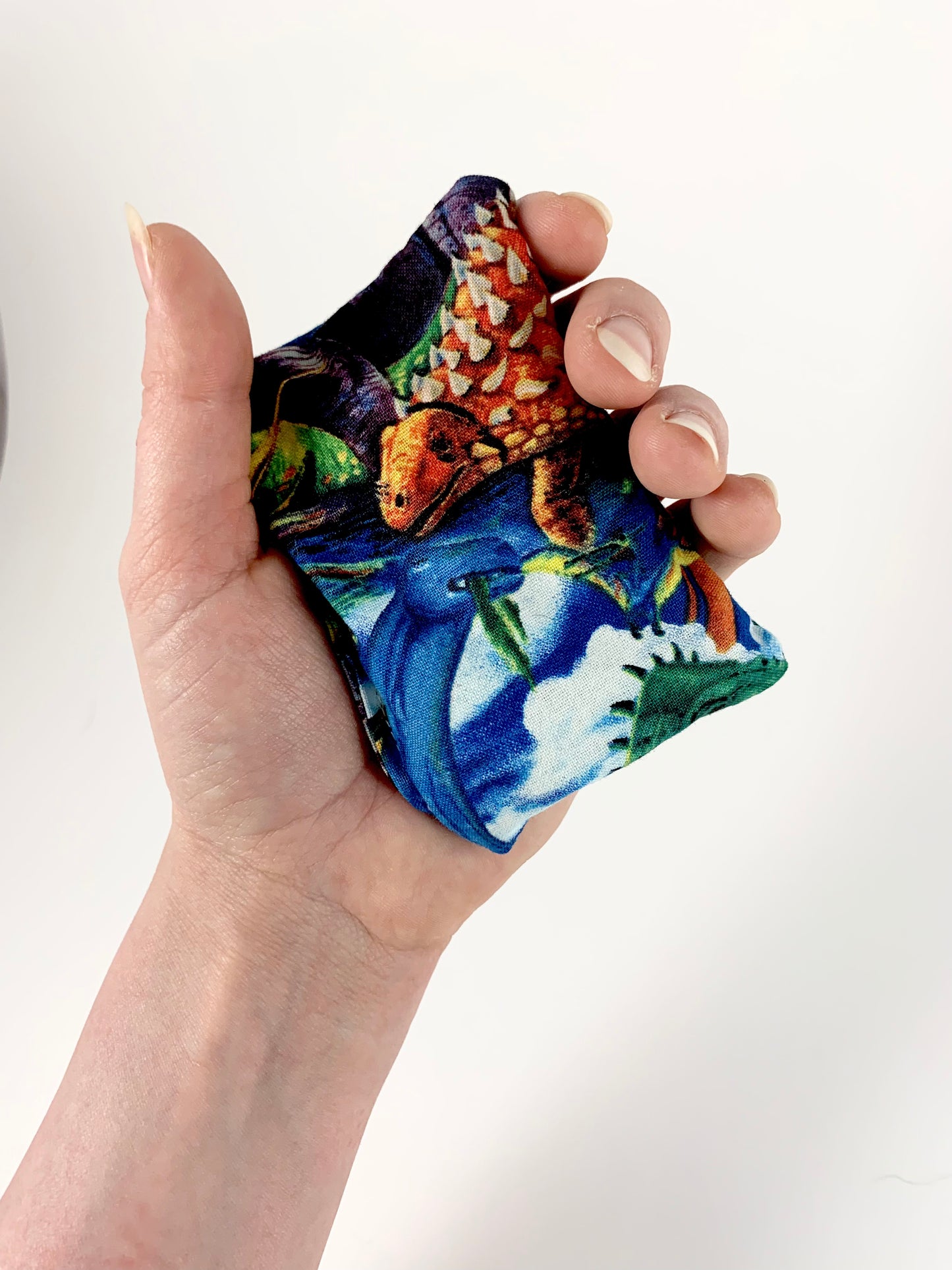 Dinosaurs Hand Warmer Set